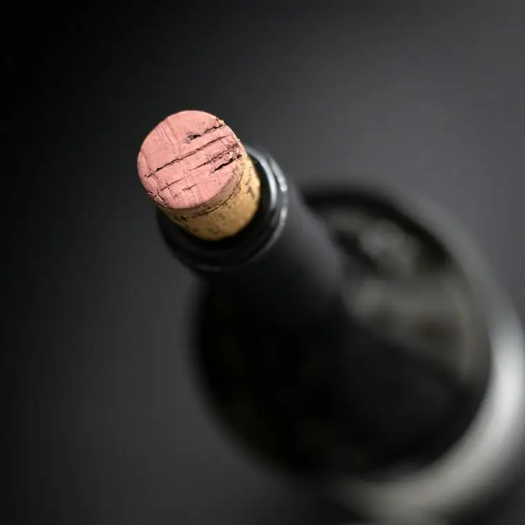 Style reference photo for Stainless Wine Bottle Chiller