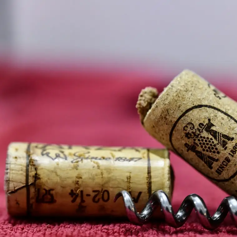 Style reference photo for Rabbit Original Lever Corkscrew